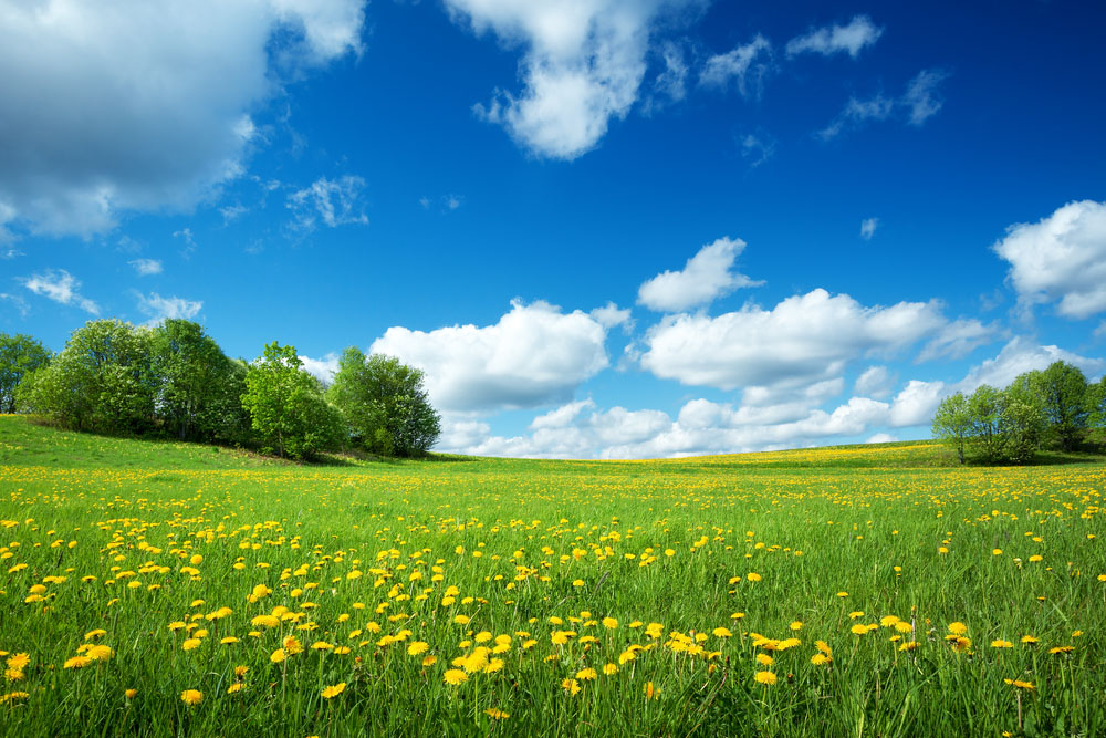 Wann genau fängt eigentlich der Frühling an? SPICK