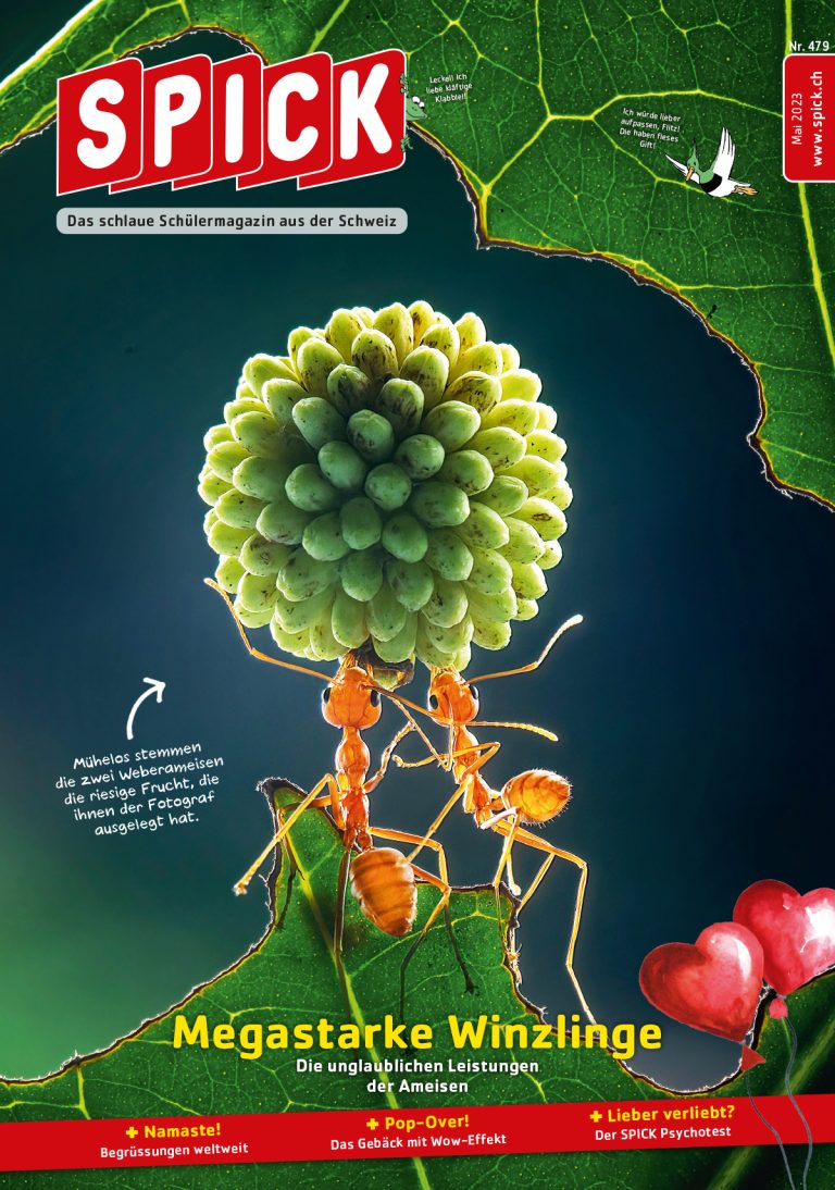 SPICK Mai 2023
