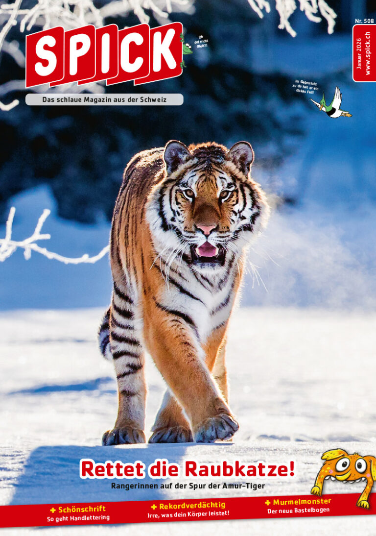 SPICK Januar 2026